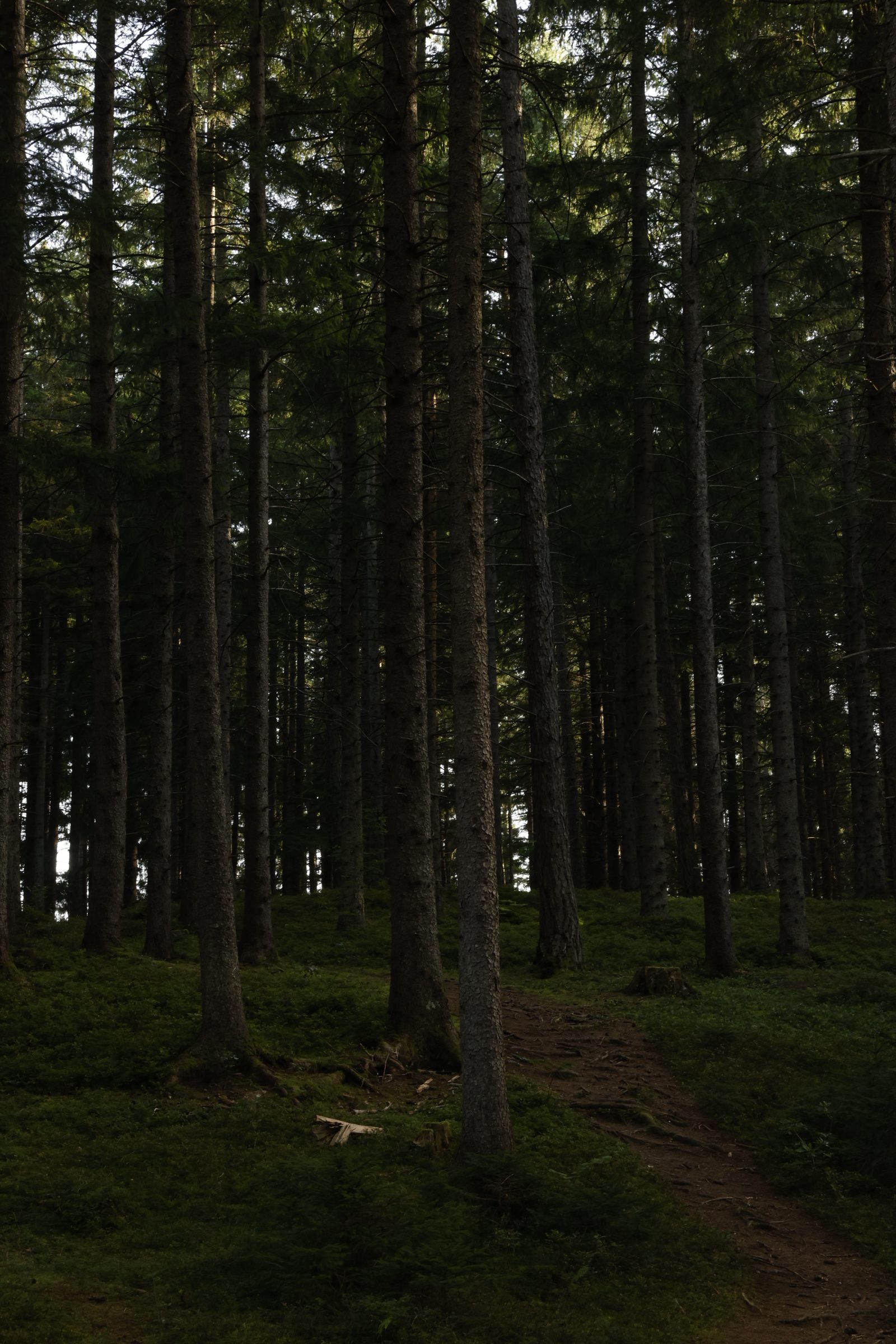 lanserhof | 40A8029 © Enrico Costantini rotated