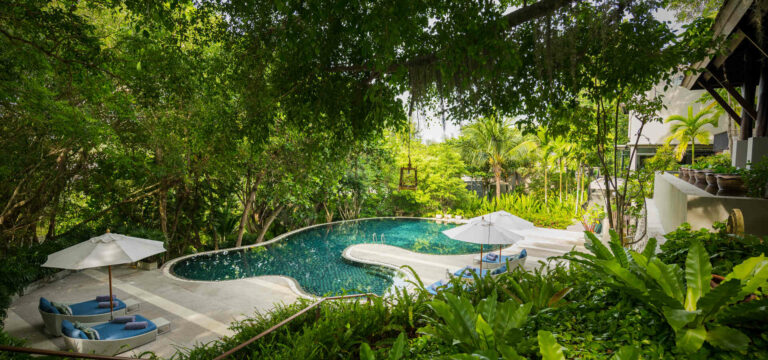 phuket | Anantara Layan Phuket Resort Swimming Pool Hillside Pool through the Greenery Sitecore 1920x900 1920x900 1