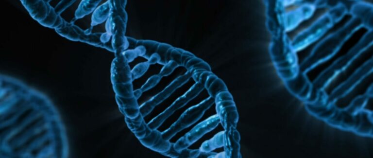 DNA in großaufnahme