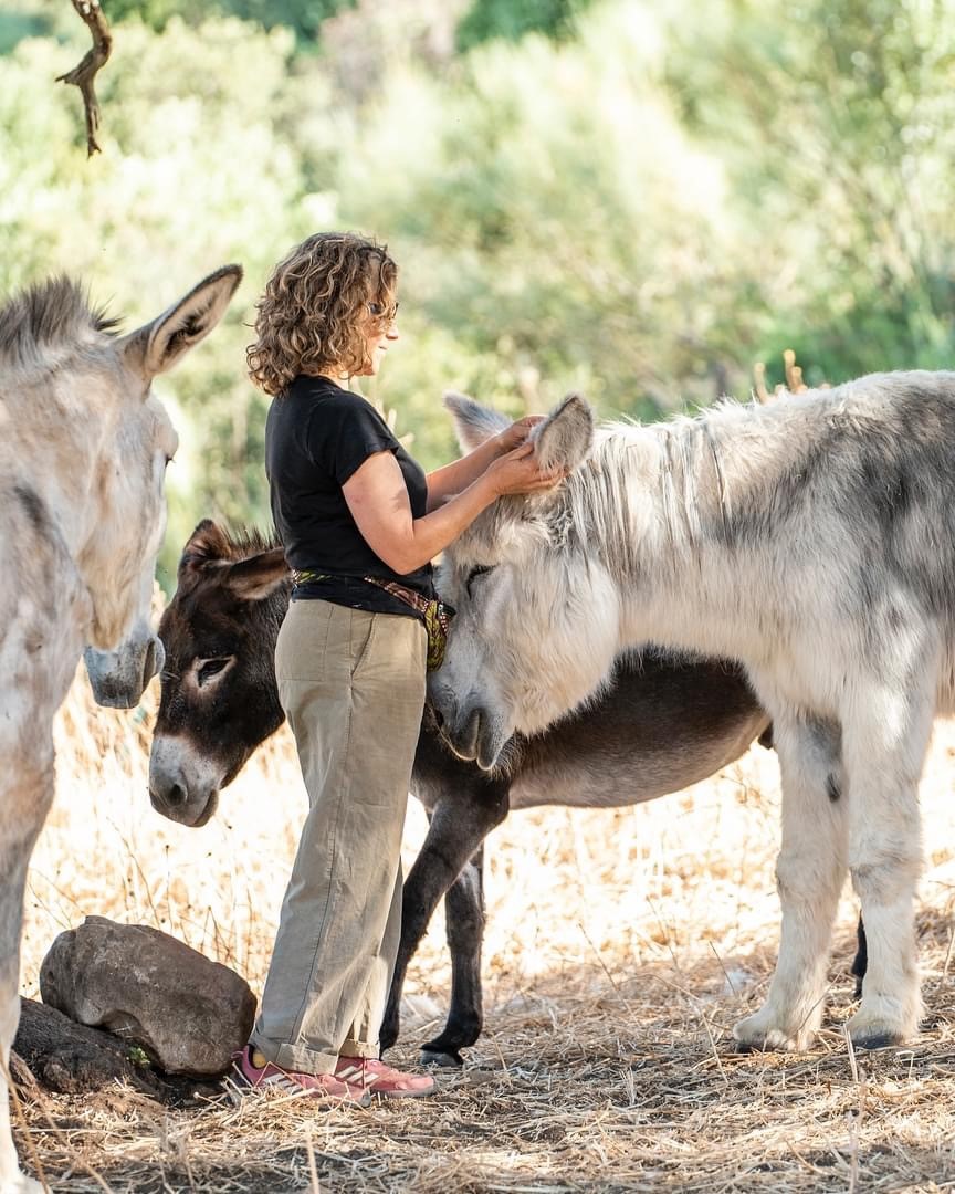 Euphoria retreat | Longevity hotel La Donaira Animals 9