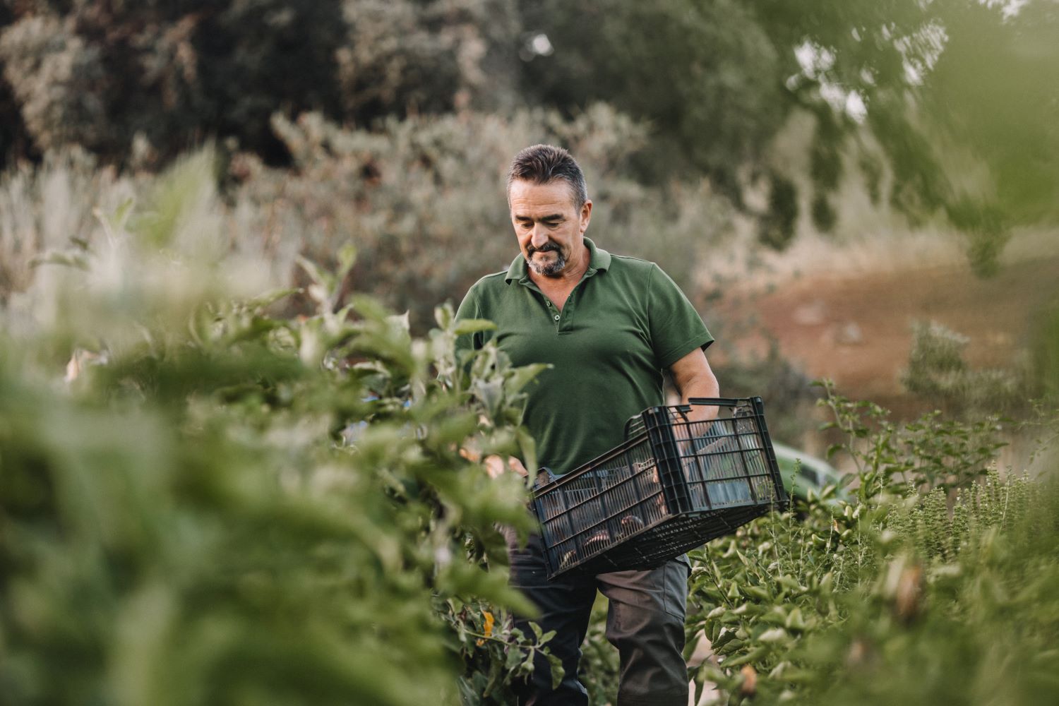 Euphoria retreat | Longevity hotel La Donaira Farm 1
