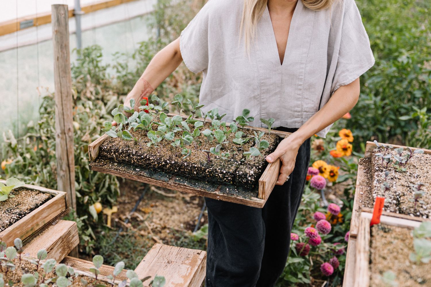 Euphoria retreat | Longevity hotel La Donaira Farm 2