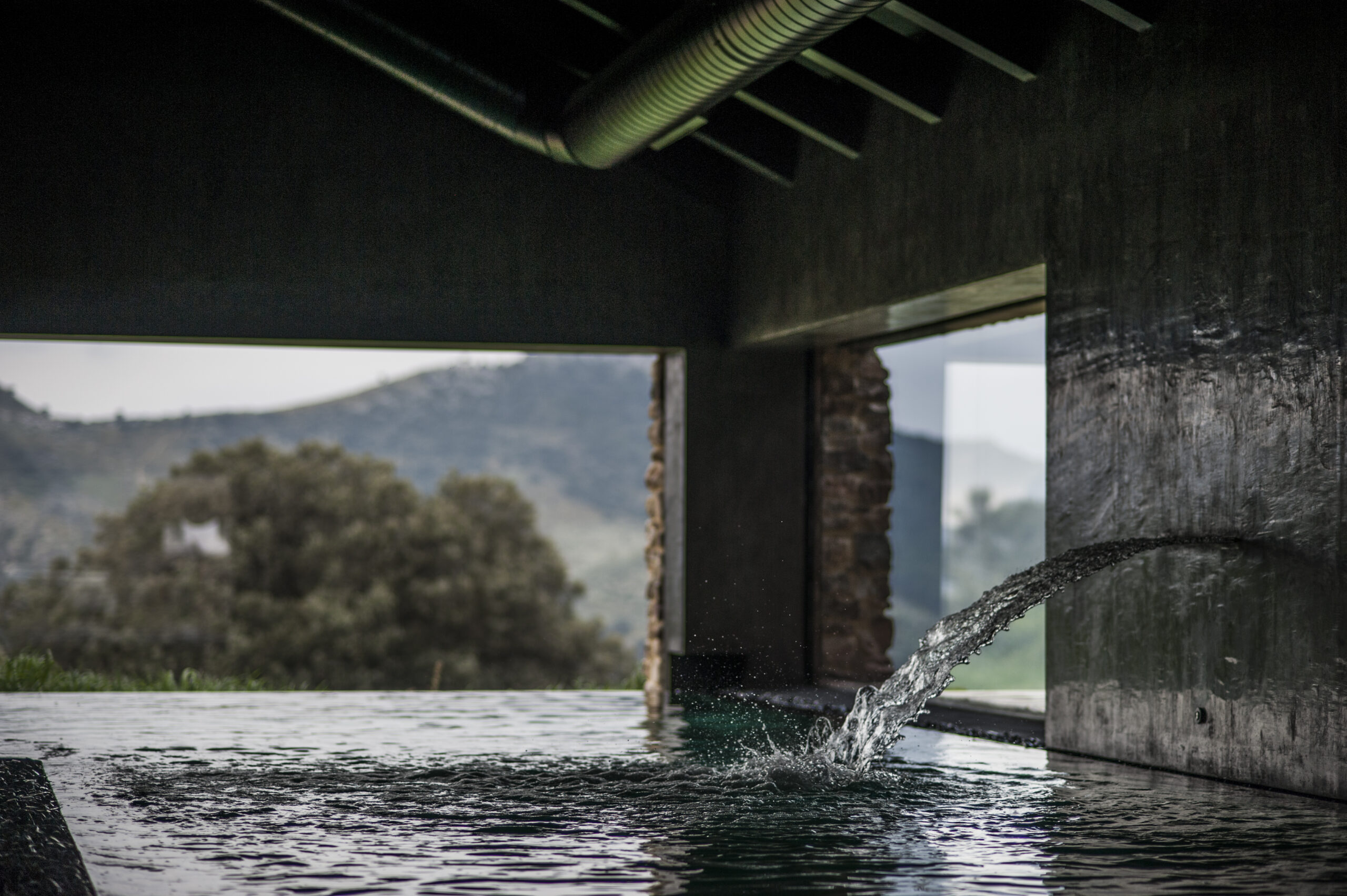 Euphoria retreat | Longevity hotel Spa 1 scaled
