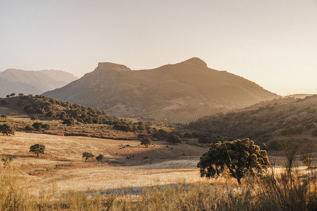 Euphoria retreat | Longevity hotel Surroundings 3