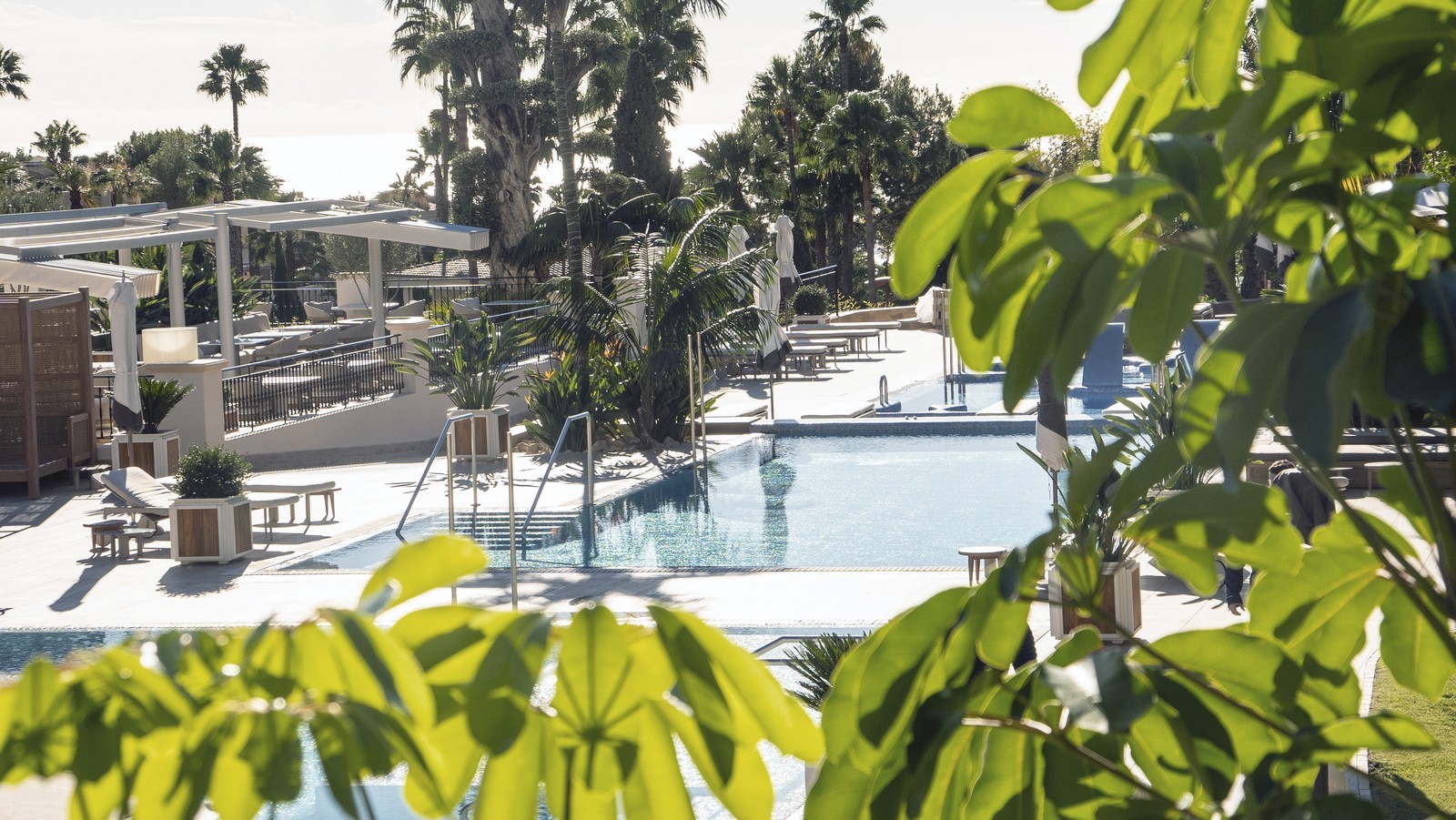 ZEM | Longevity travel zemaltea pool dec24
