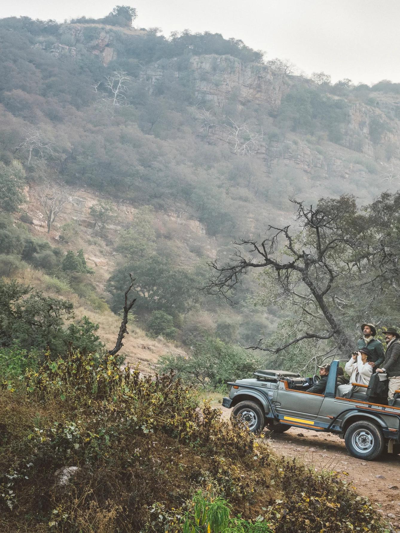 Vana | Longevity travel Safari in Ranthambore