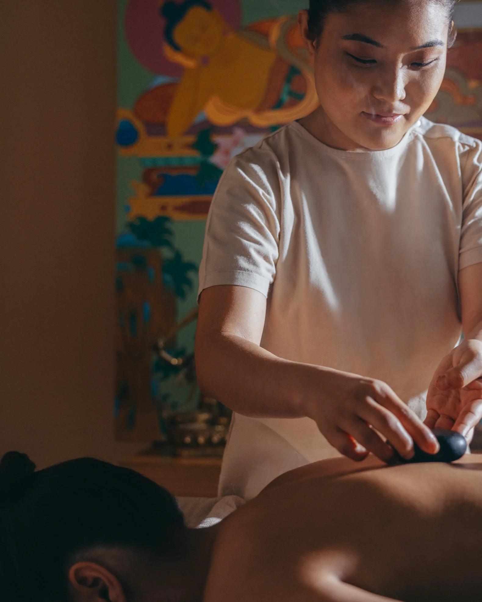 Vana | Longevity travel Wellness Sowa Rigpa