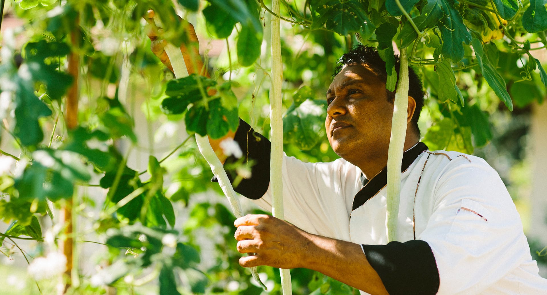 Longevity Hotel Anantara Tangalle; Farm to table Konzept
