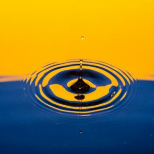 blutwäsche | izzy gibson sFrkWv4ACJg unsplash 300x300 1