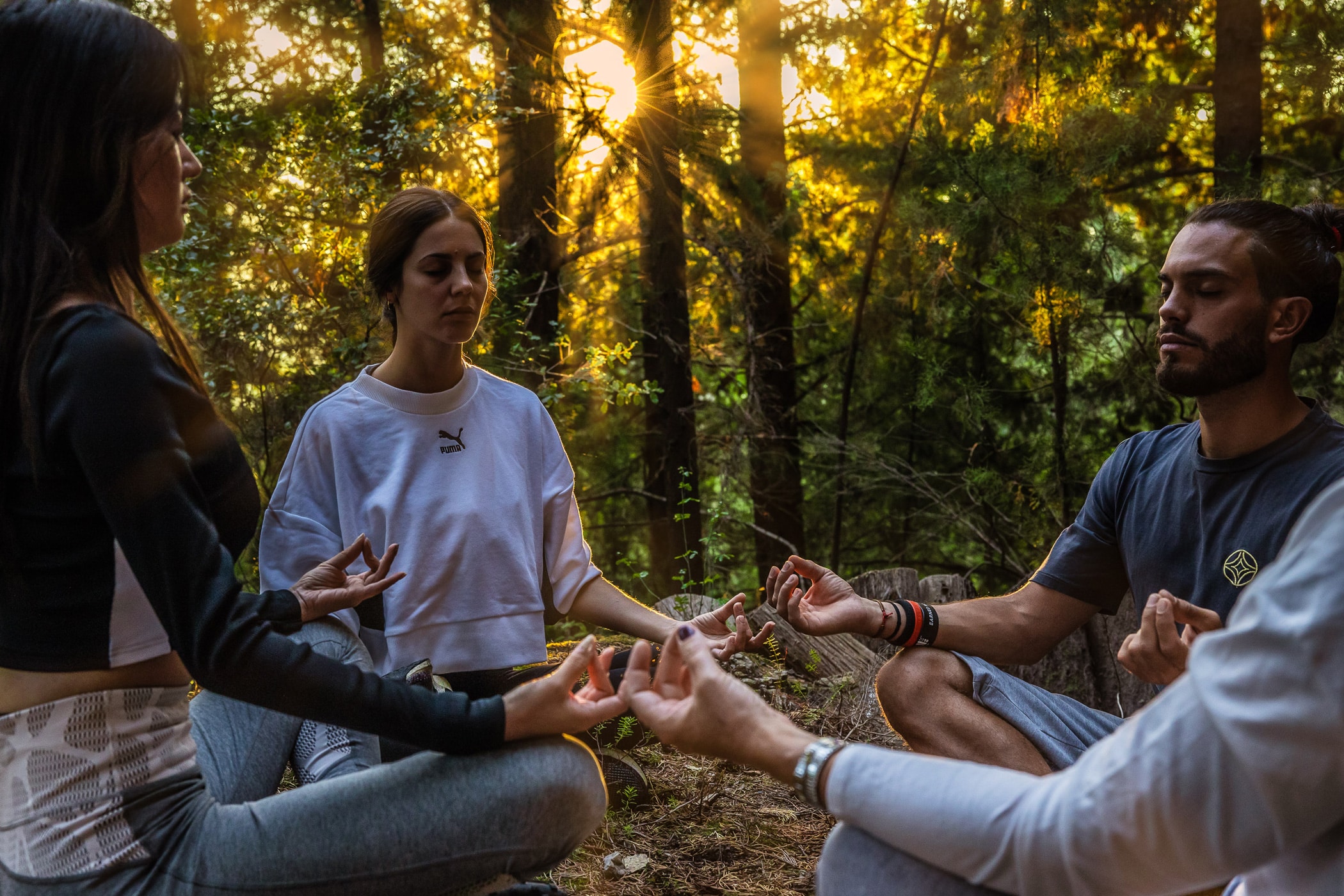 Longevity Hotel Euphoria Retreat Reconnect