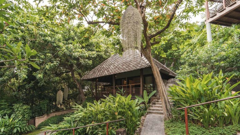Renewing | longevity travel garden view villa samui