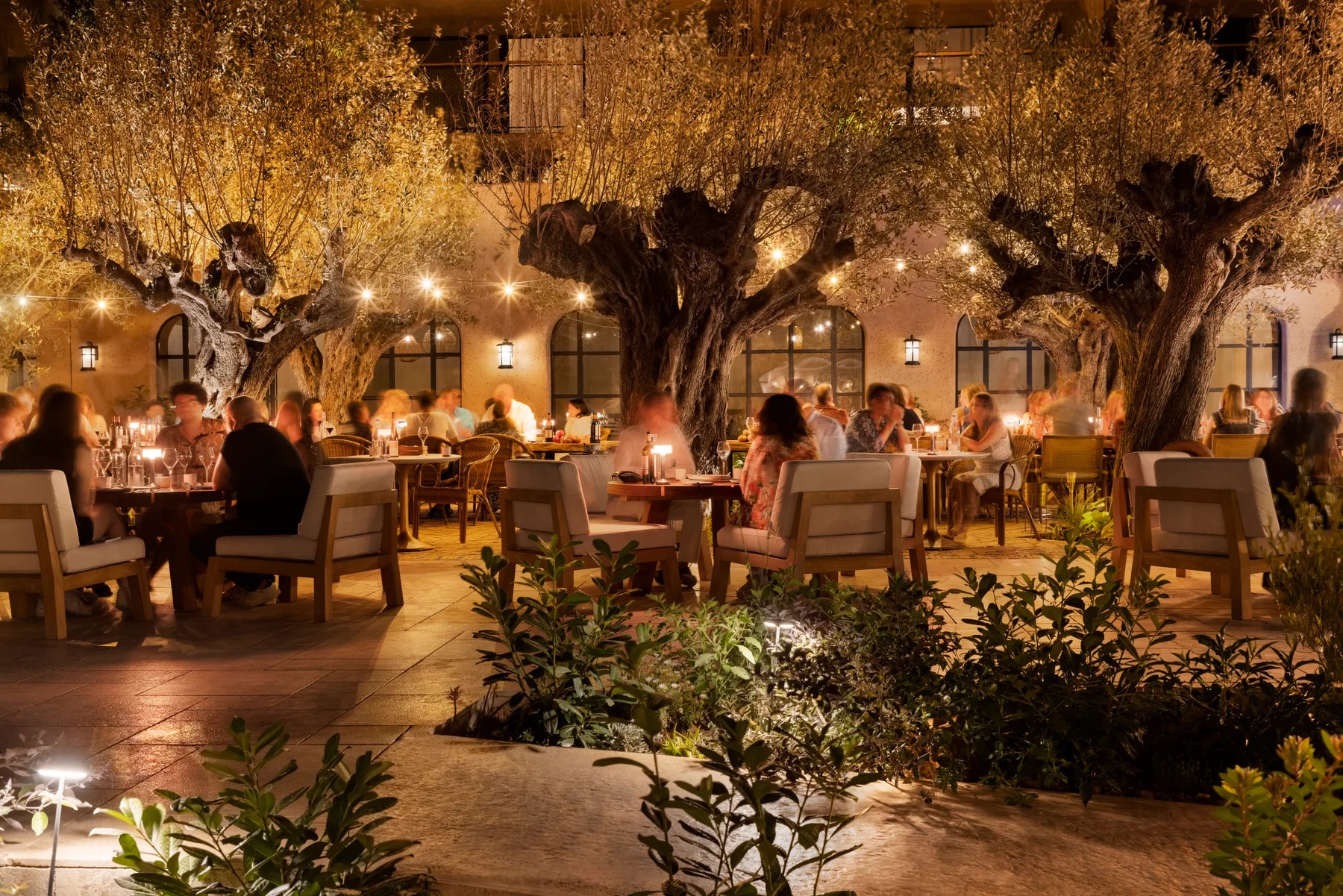 Biohacking | longevity travel six senses ibiza 1 North
