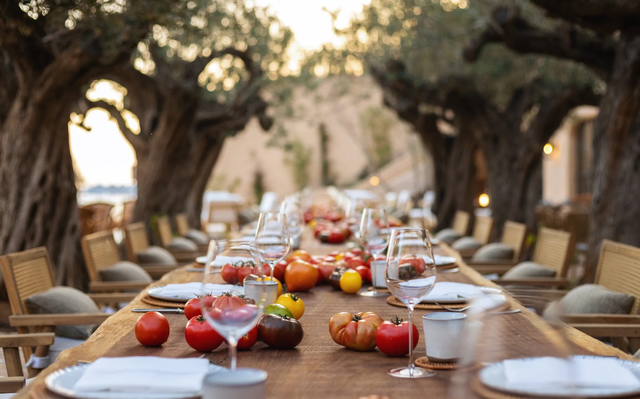 IBIZA | longevity travel six senses ibiza