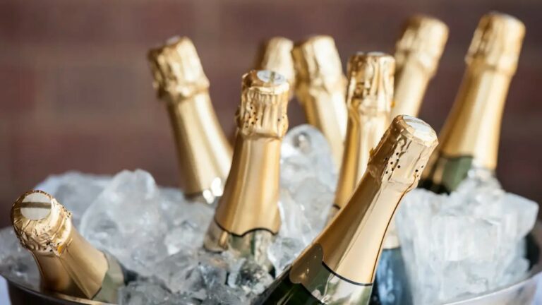 treudelberg | longevity travel treudelberg champagner