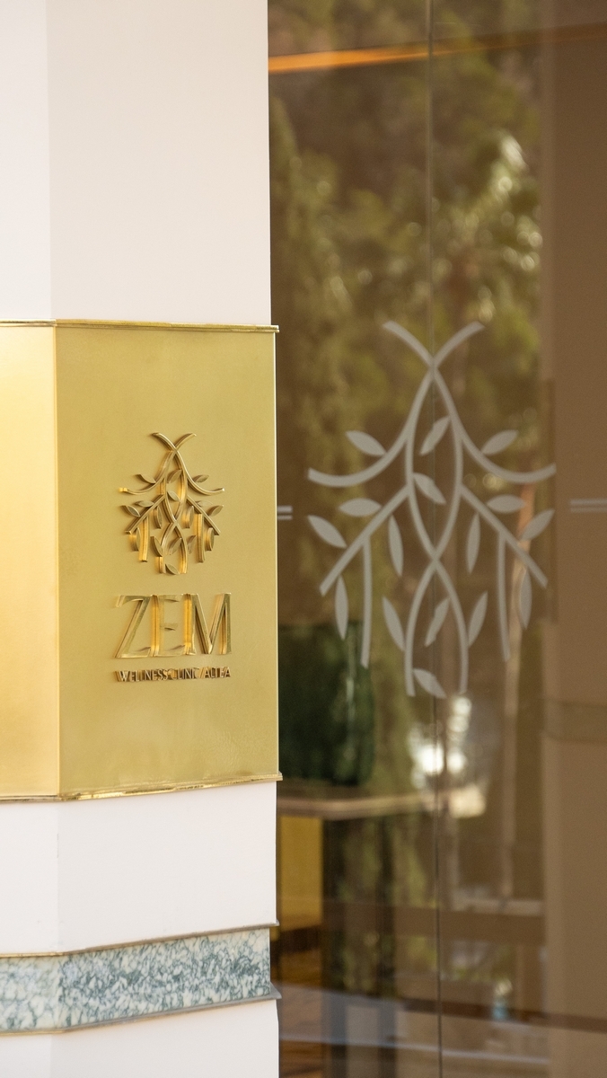 Zem Logo in Alicante