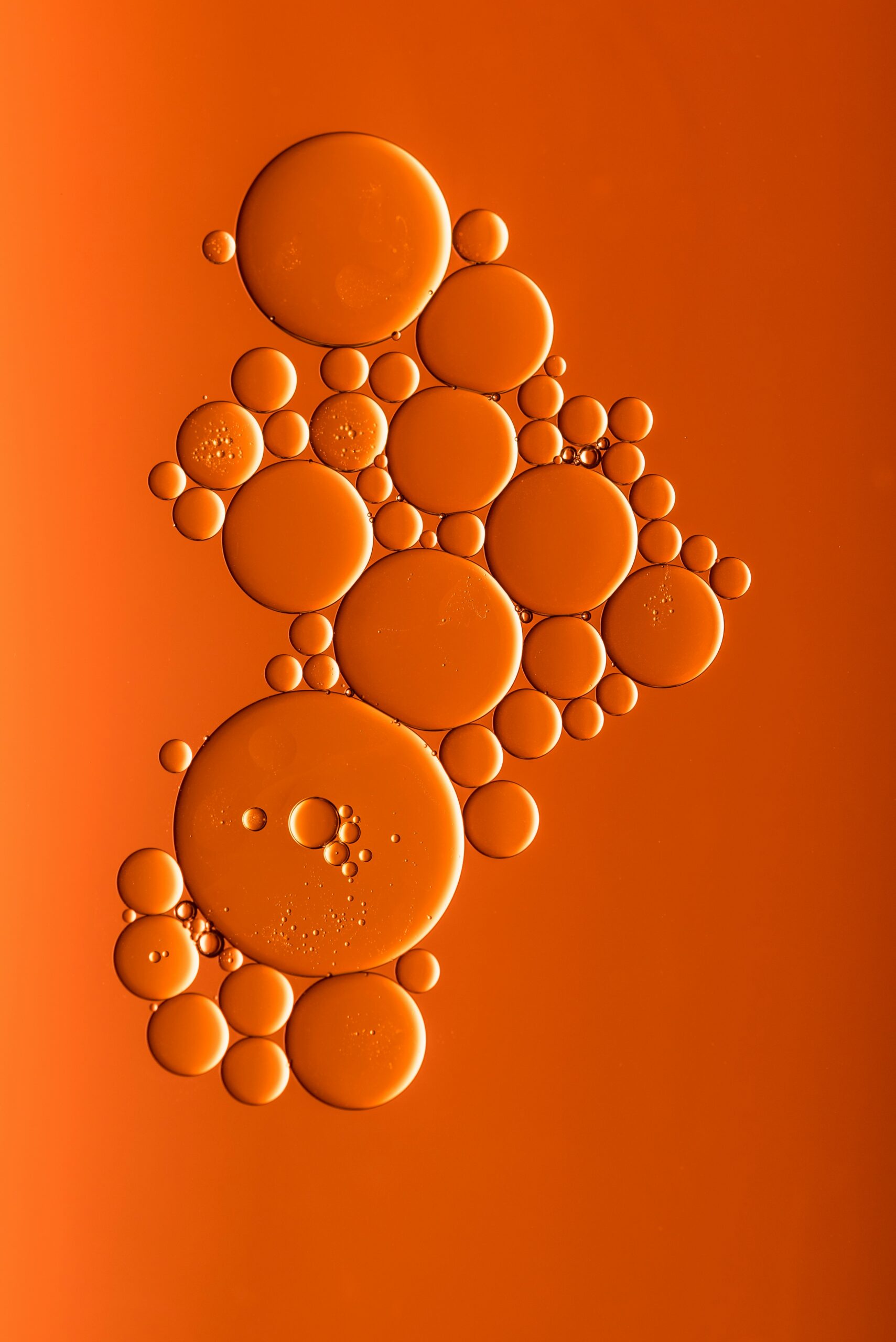 blutwäsche | sharon pittaway 4 hFxTsmaO4 unsplash scaled 1