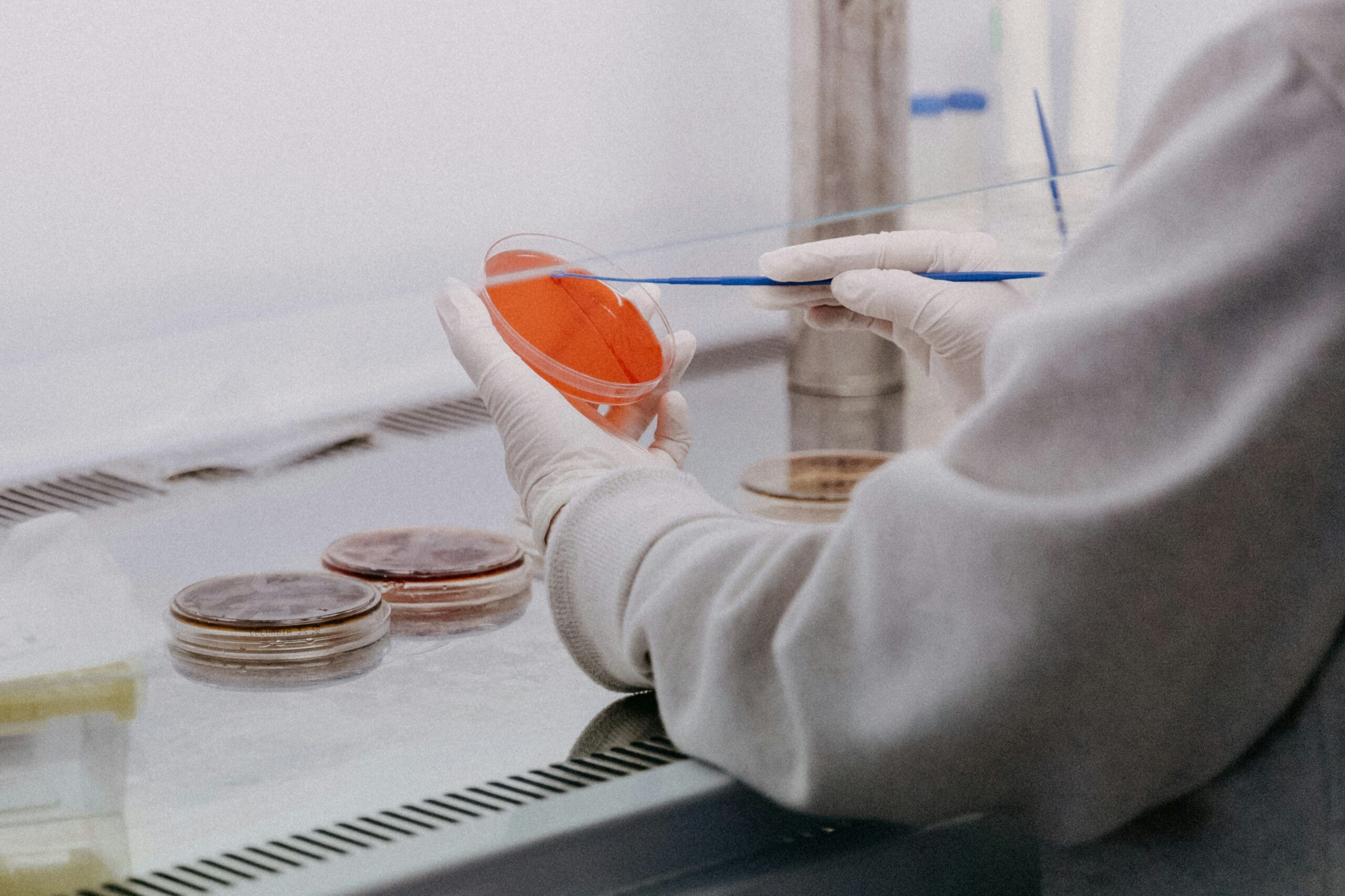 Pipette mit Petrischale